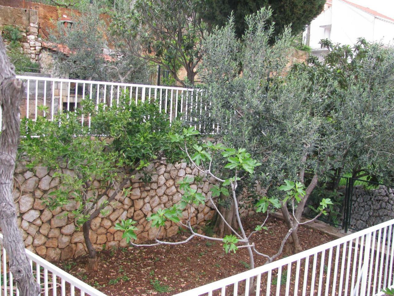 Kathryne Apartment Dubrovnik
